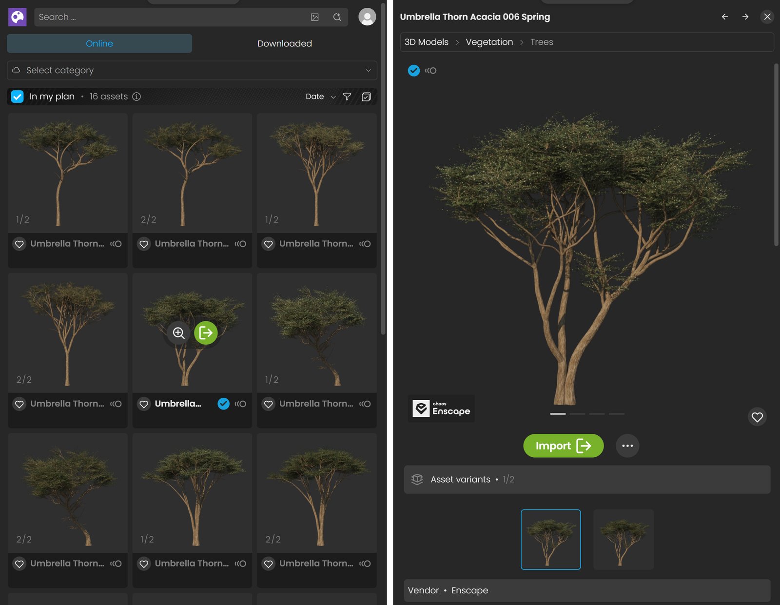 Cosmos_Assets_Import_BothViews.png