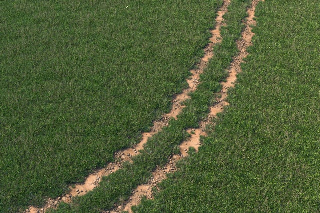A path masked out of a Skatter lawn distribution