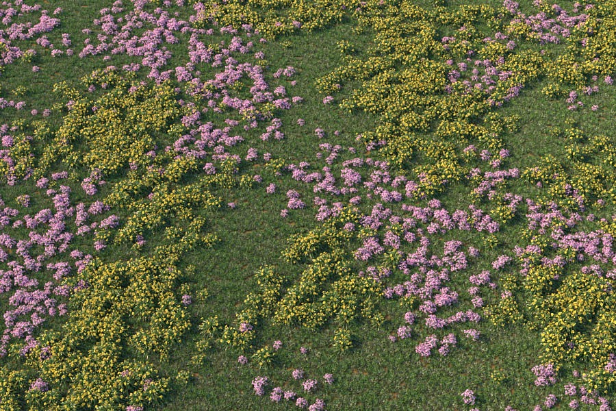 Planting zones grouping vegetation in a Skatter landscape