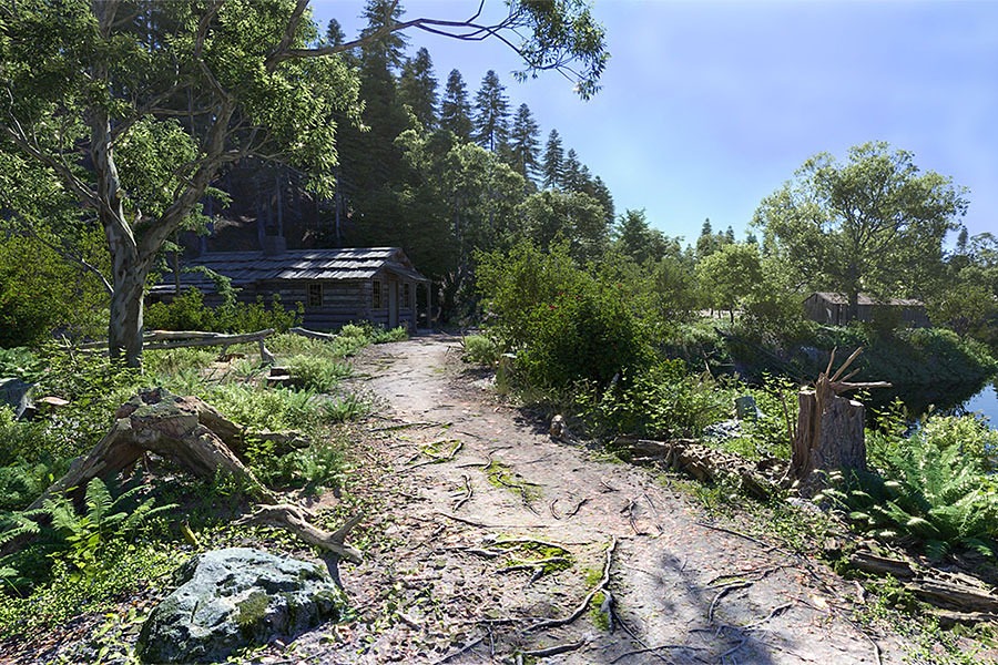 Woodland scene created with Skatter render-only scattering