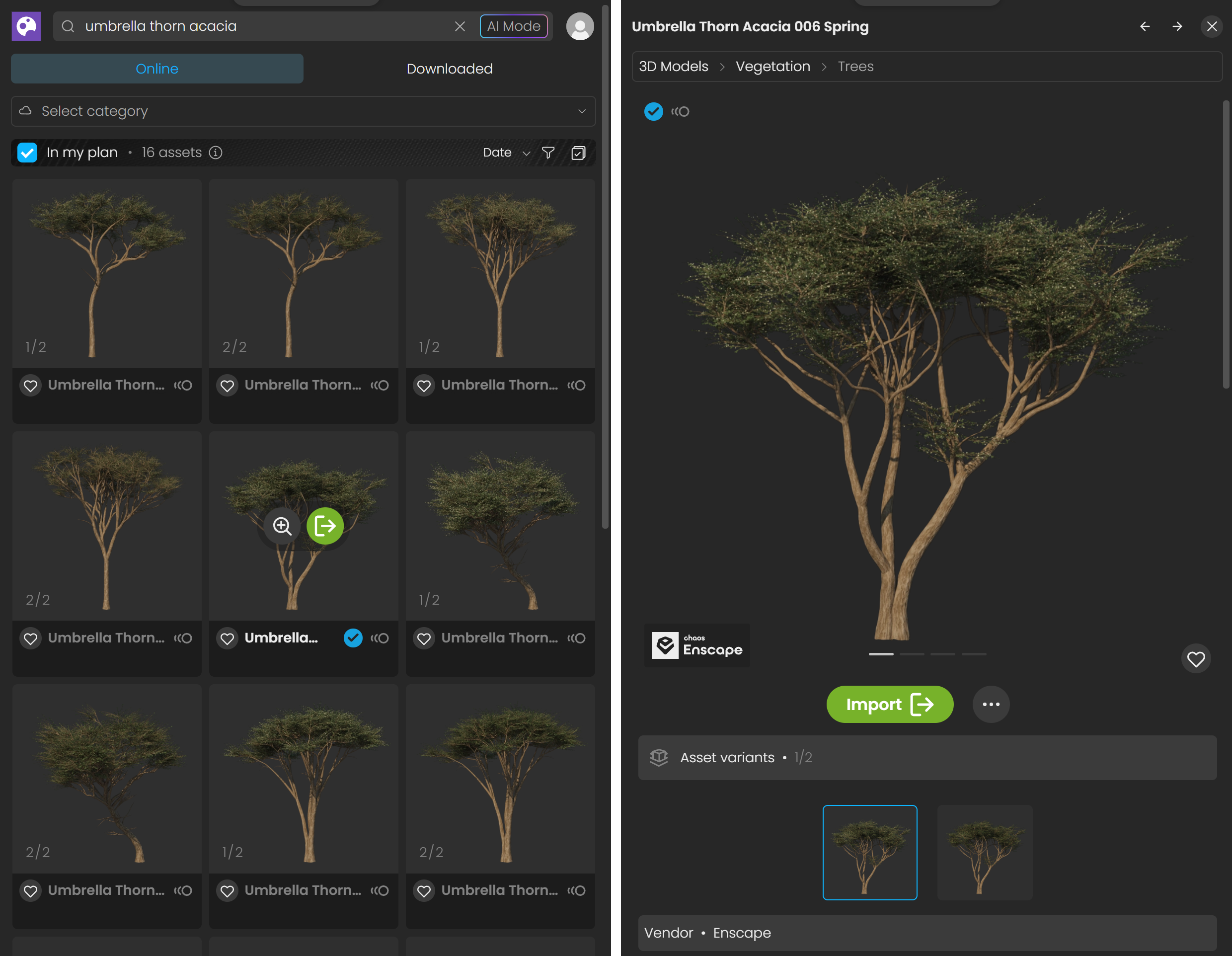 Cosmos_Assets_Import_BothViews.png