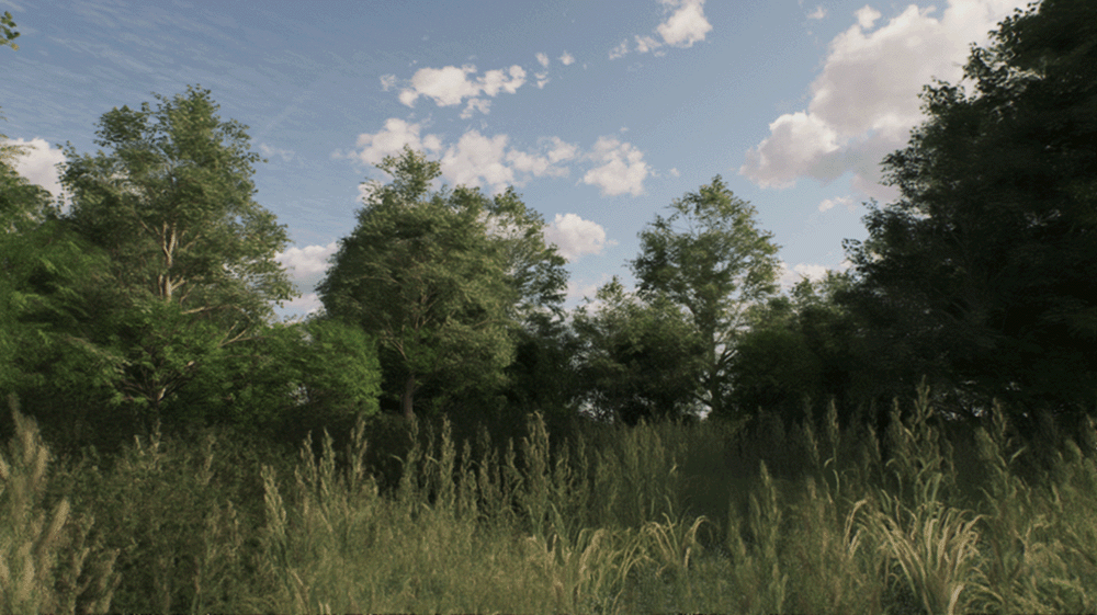 Example of Vegetation wind intensity with a value of 100