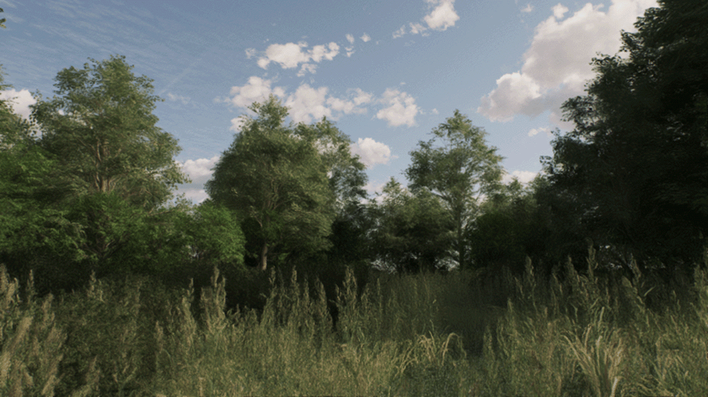 Example of Vegetation wind intensity with a value of 300