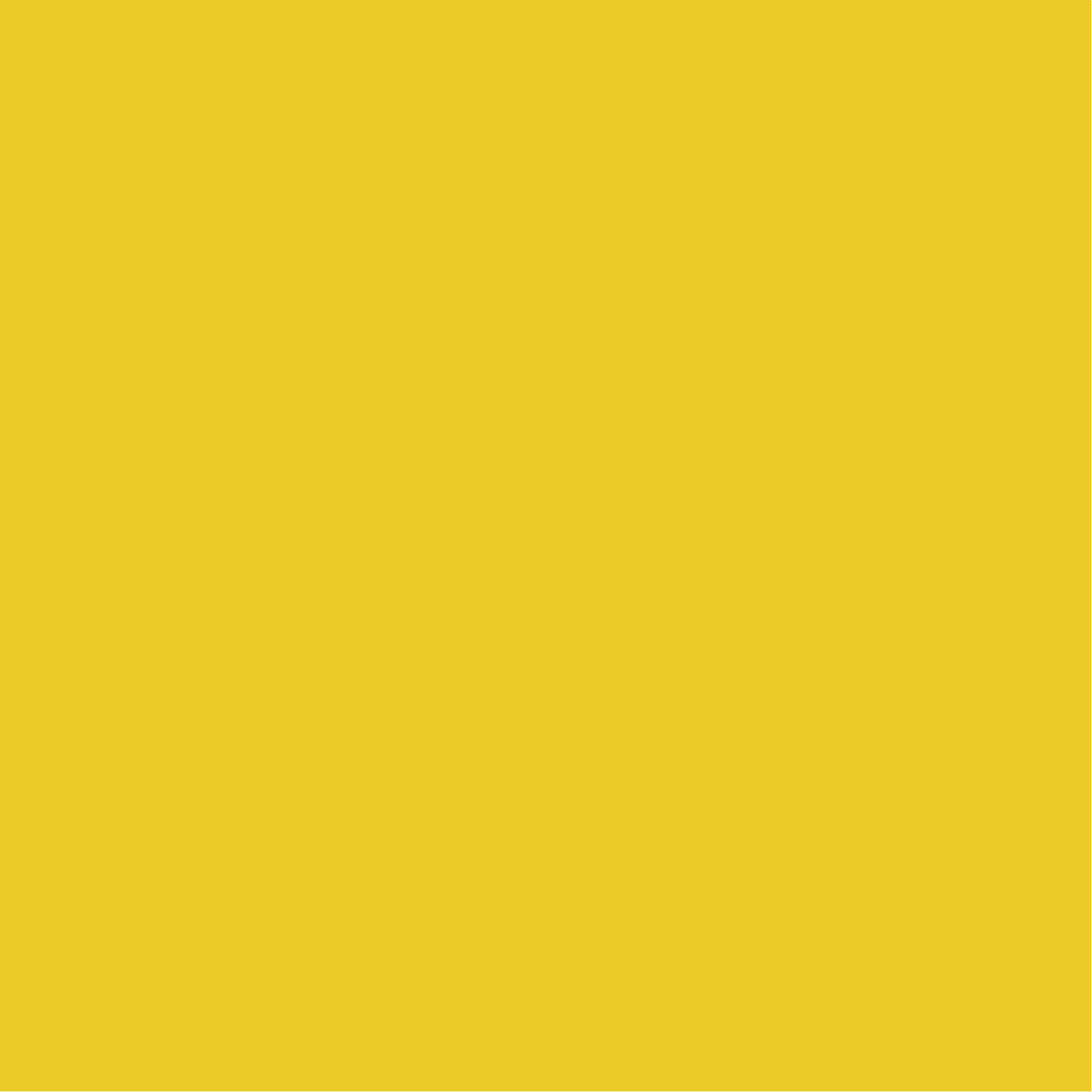 Vantage3_Mix_Color2_Yellow.jpg