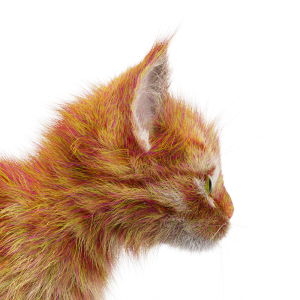 CurveColorRandomize Fur Closeup Hue 0.25