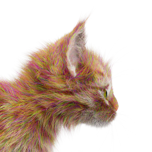 CurveColorRandomize Fur Closeup Hue 0.5
