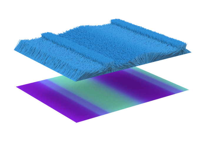 Material Graph Fuzz Directional.Material Graph.3