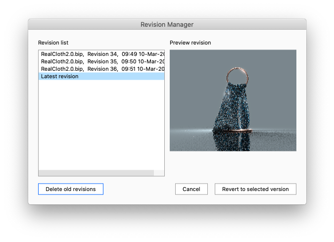 Revision manager1