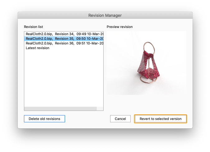 Revision manager2
