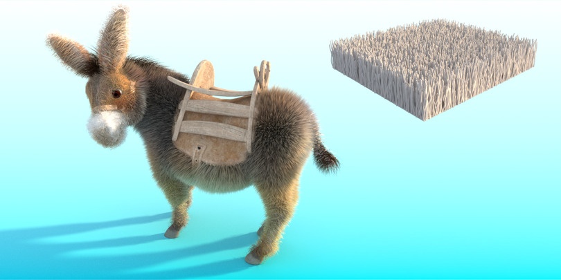 Donkey_bend_min.jpg