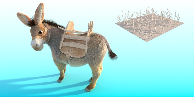 Donkey_curl_radius_min.jpg