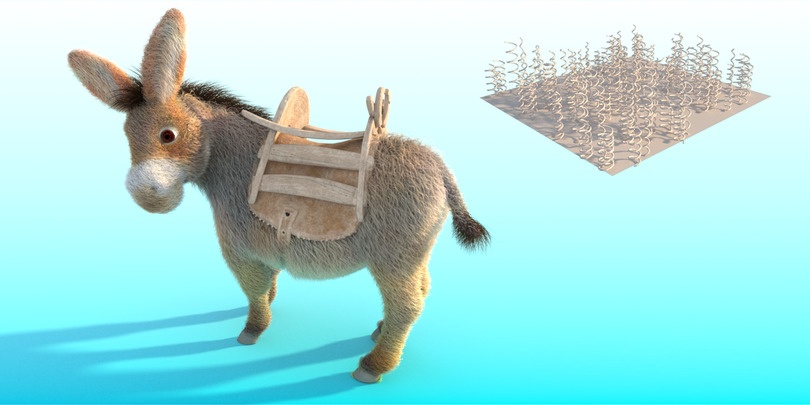Donkey_curlAngle_mid.jpg