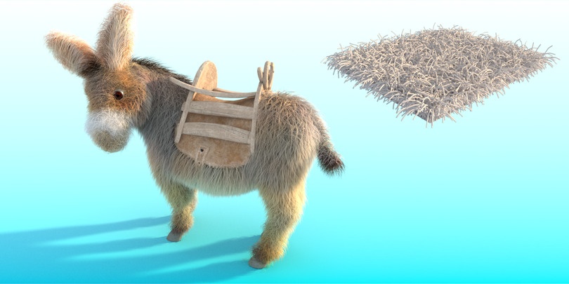 Donkey_gravity_first.jpg