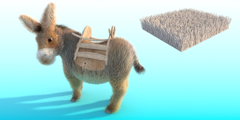 Donkey_gravity_max.jpg