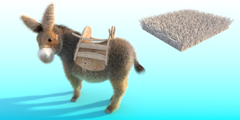 Donkey_gravity_mid.jpg