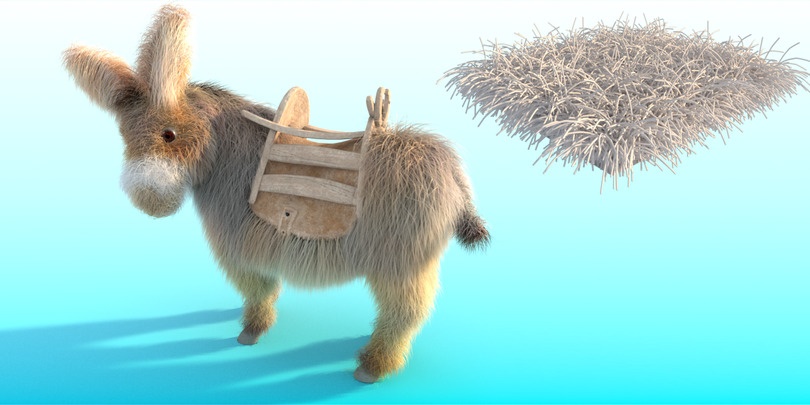 Donkey_lenght_max.jpg