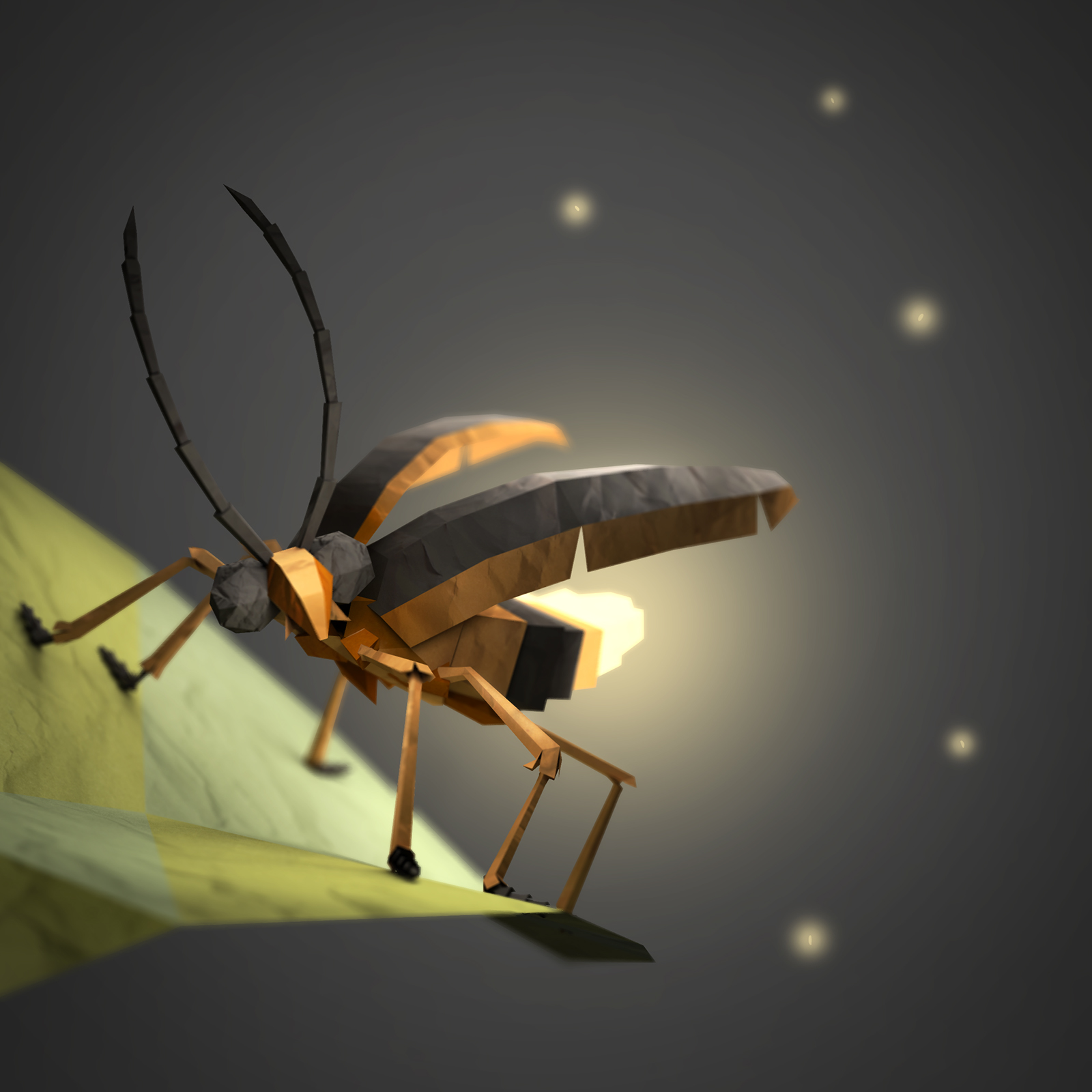 Jeremy Kool firefly Compressed.jpg