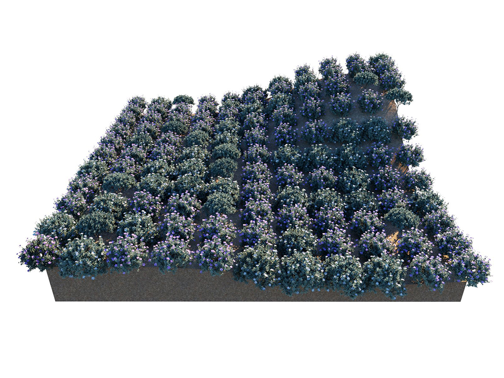 01_uvgrid_patterngrid_jitter_0.jpg
