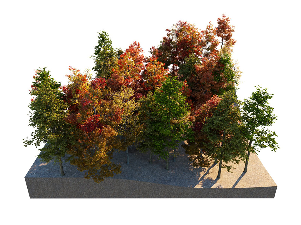 02_scatter_seed_2.jpg