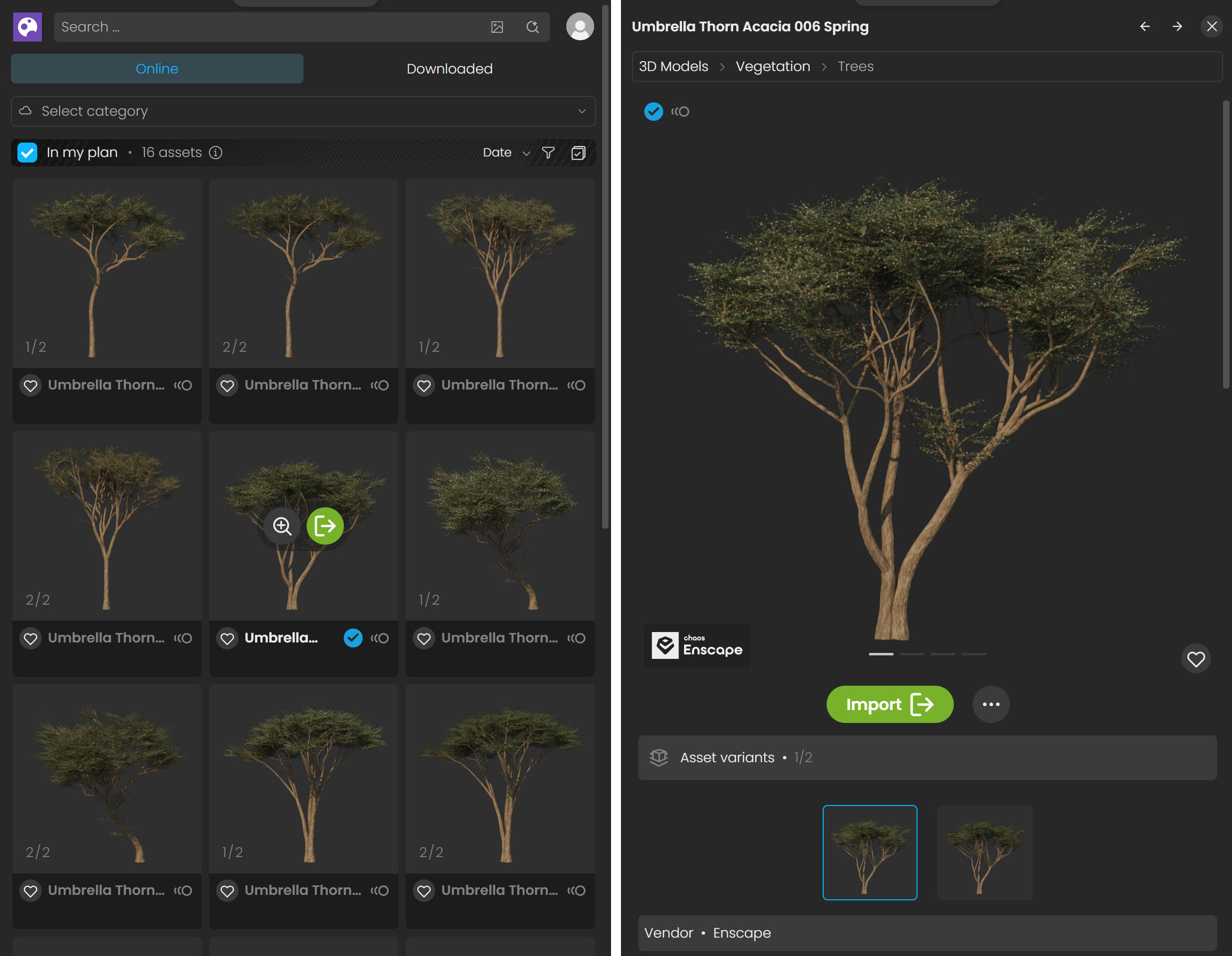 Cosmos_Assets_Import_BothViews.png