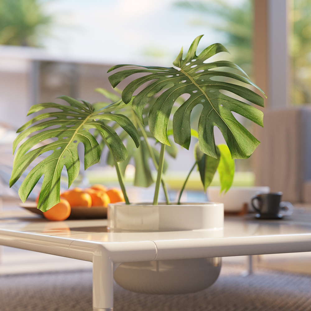 leaves_2sided_tl128_1k.jpg