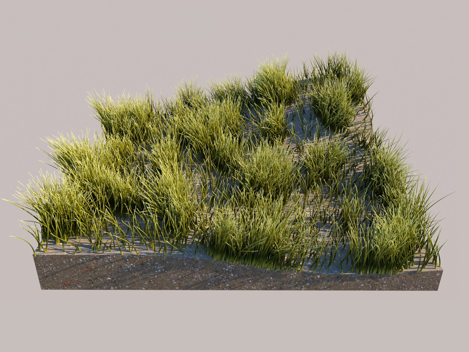 StrandSamplerTex_Hero.png