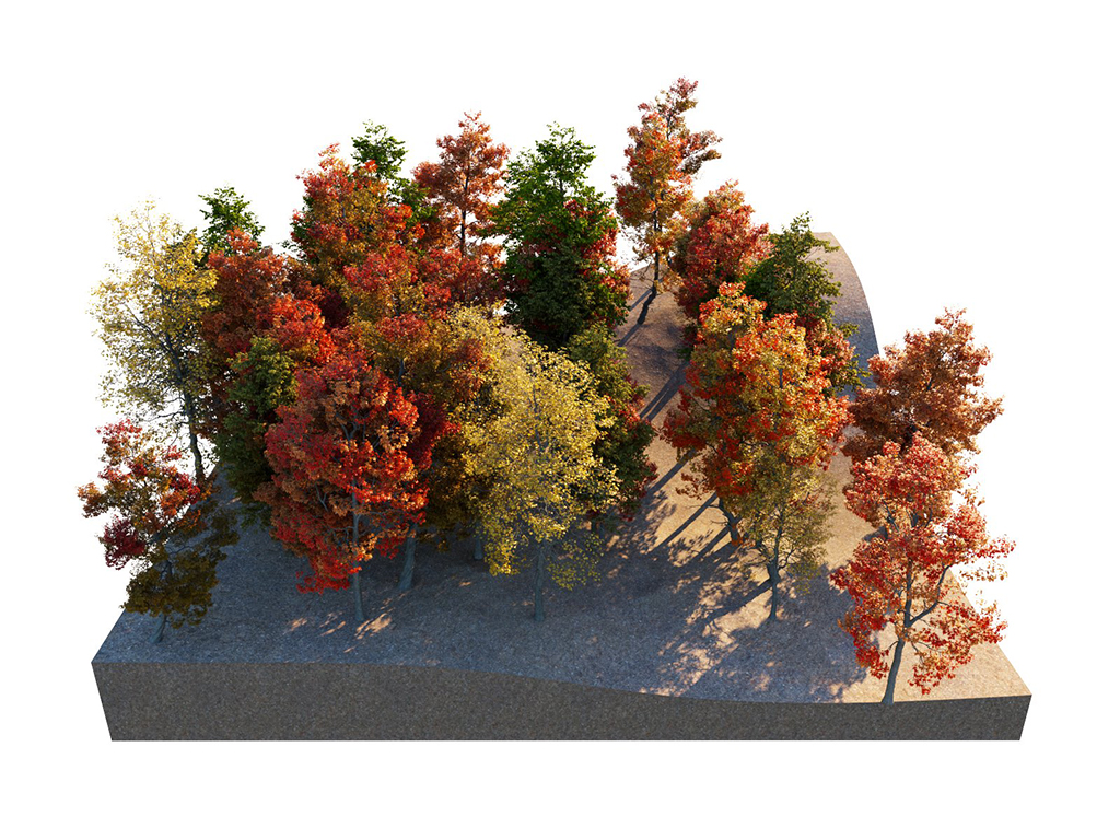 01_scatter_seed_1.jpg