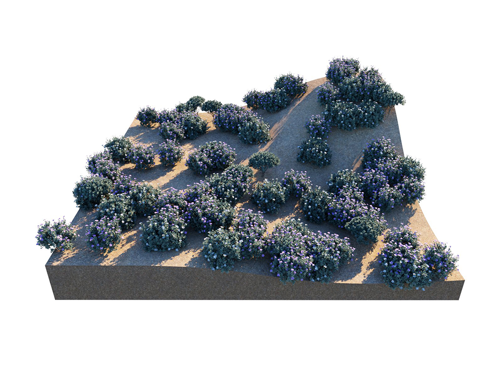 05_uvgrid_patterngrid_jitter_2.jpg