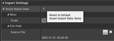 Unreal_Next_ImportSettings.png